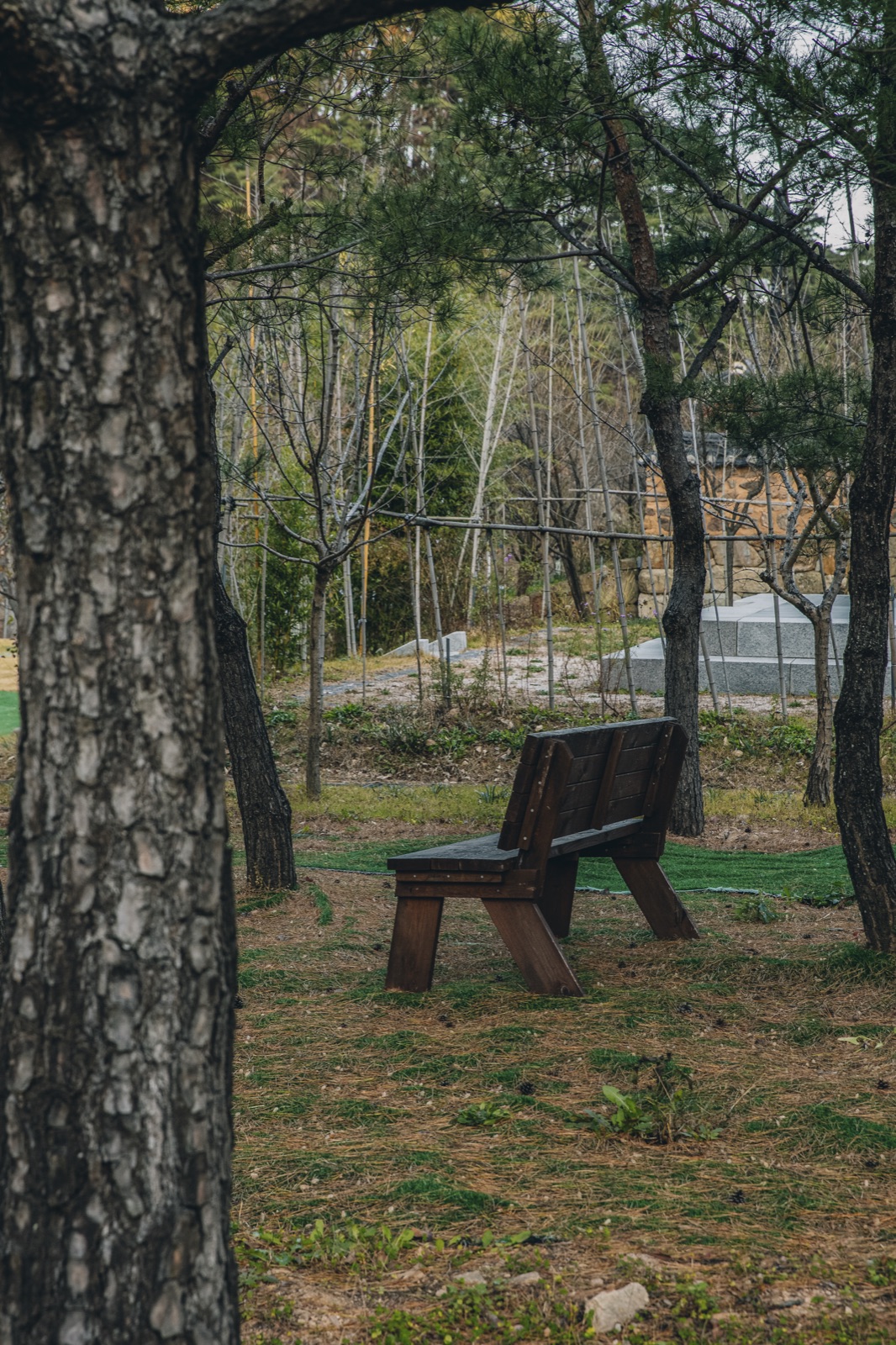 노을 지는 여명
